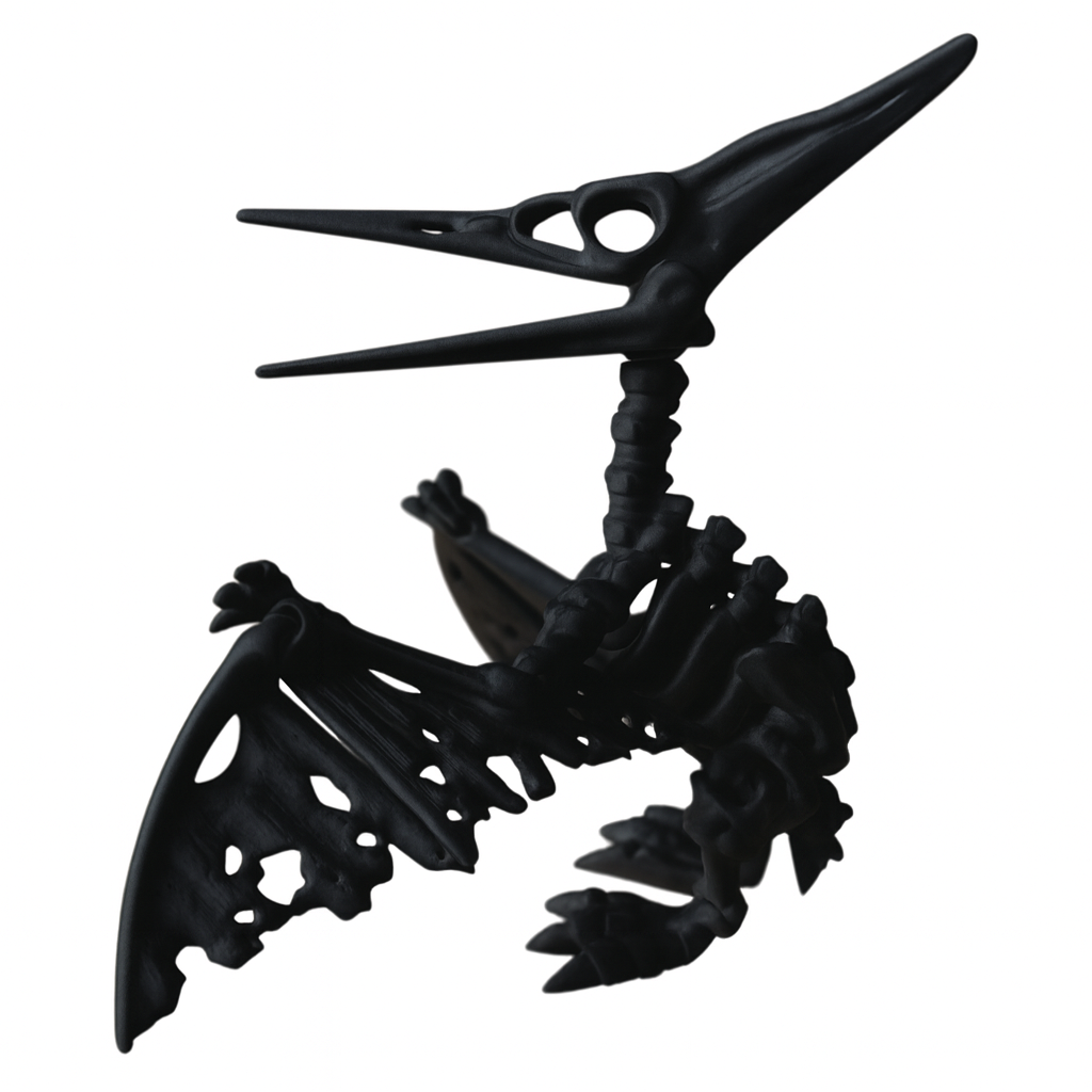 Pteranodon Esqueleto Articulado