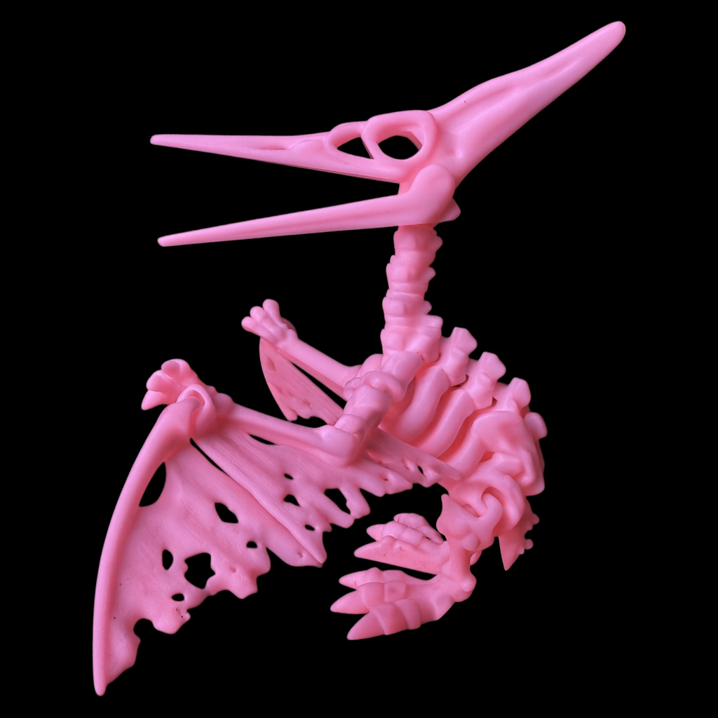 Pteranodon Esqueleto Articulado