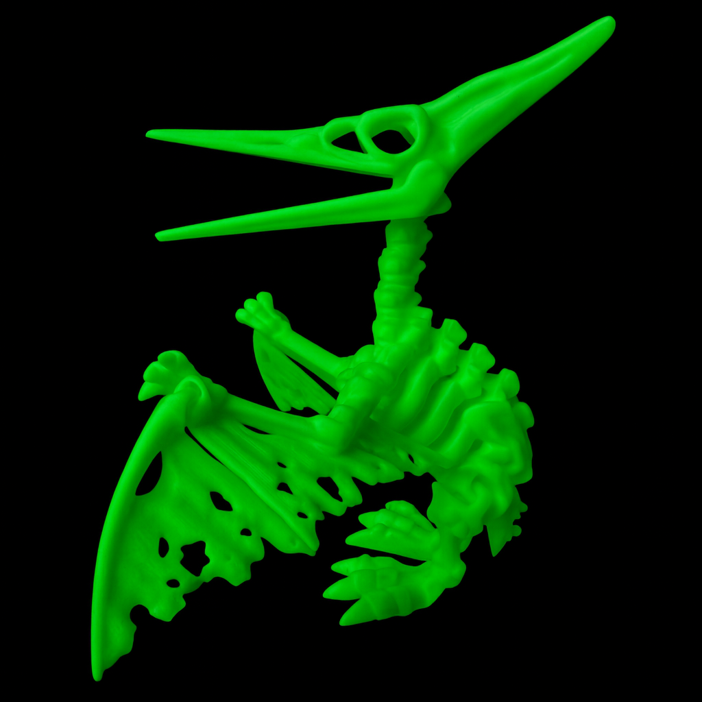 Pteranodon Esqueleto Articulado