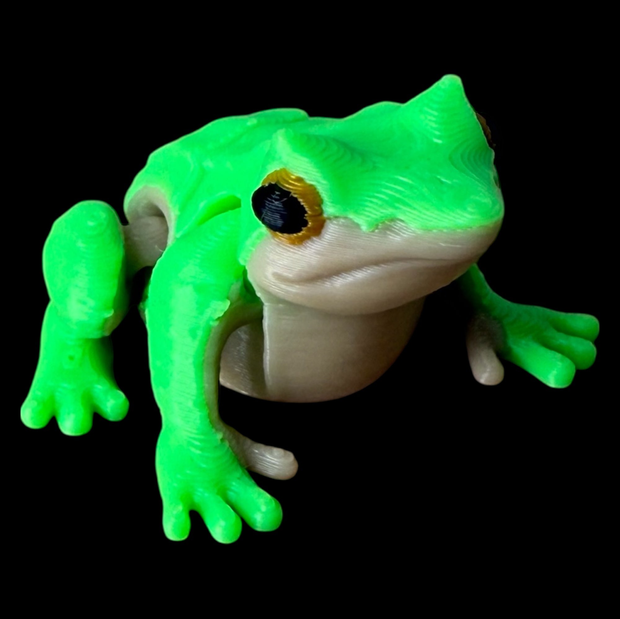 Modokin Ranita de Darwin