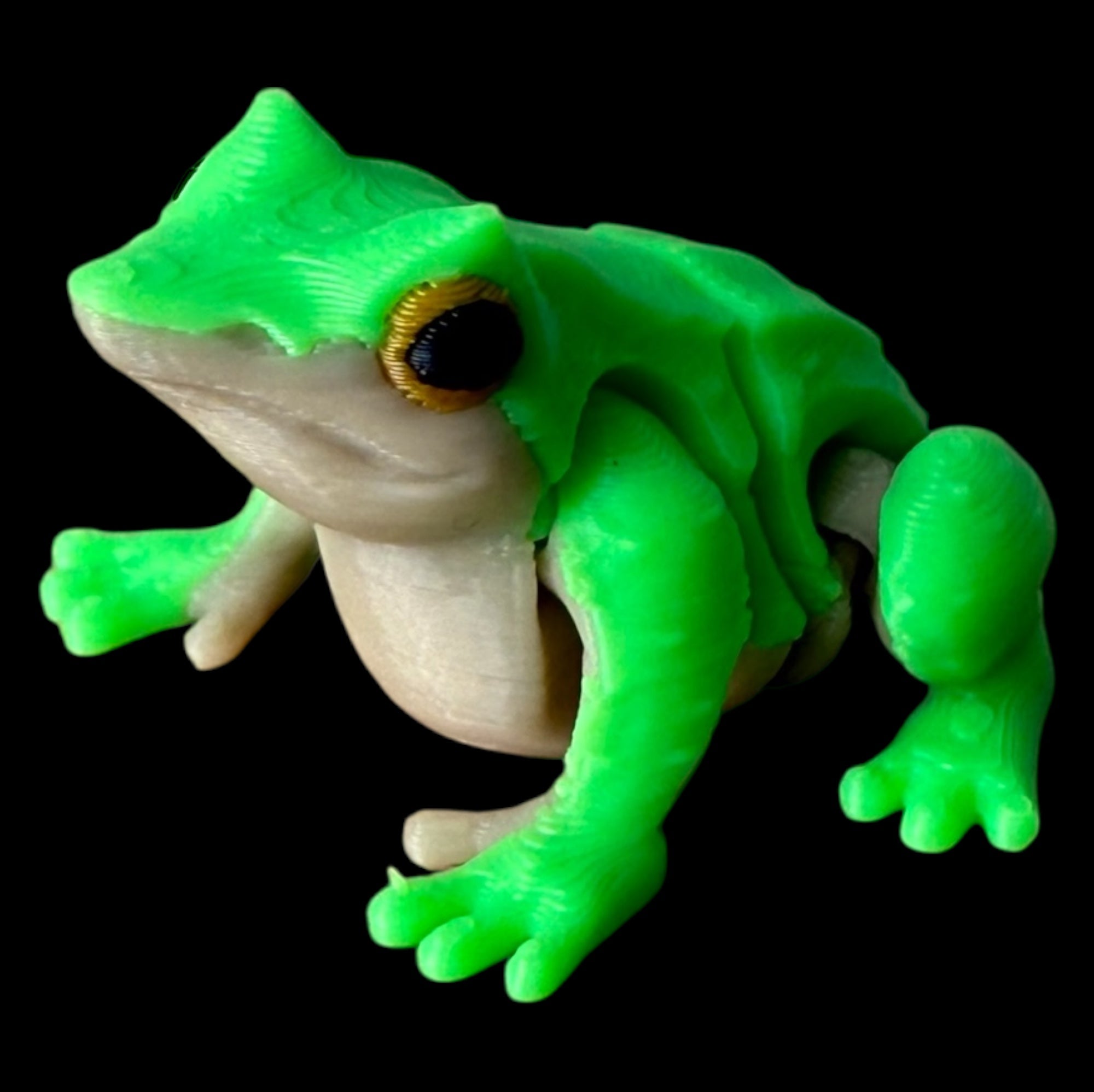 Modokin Ranita de Darwin